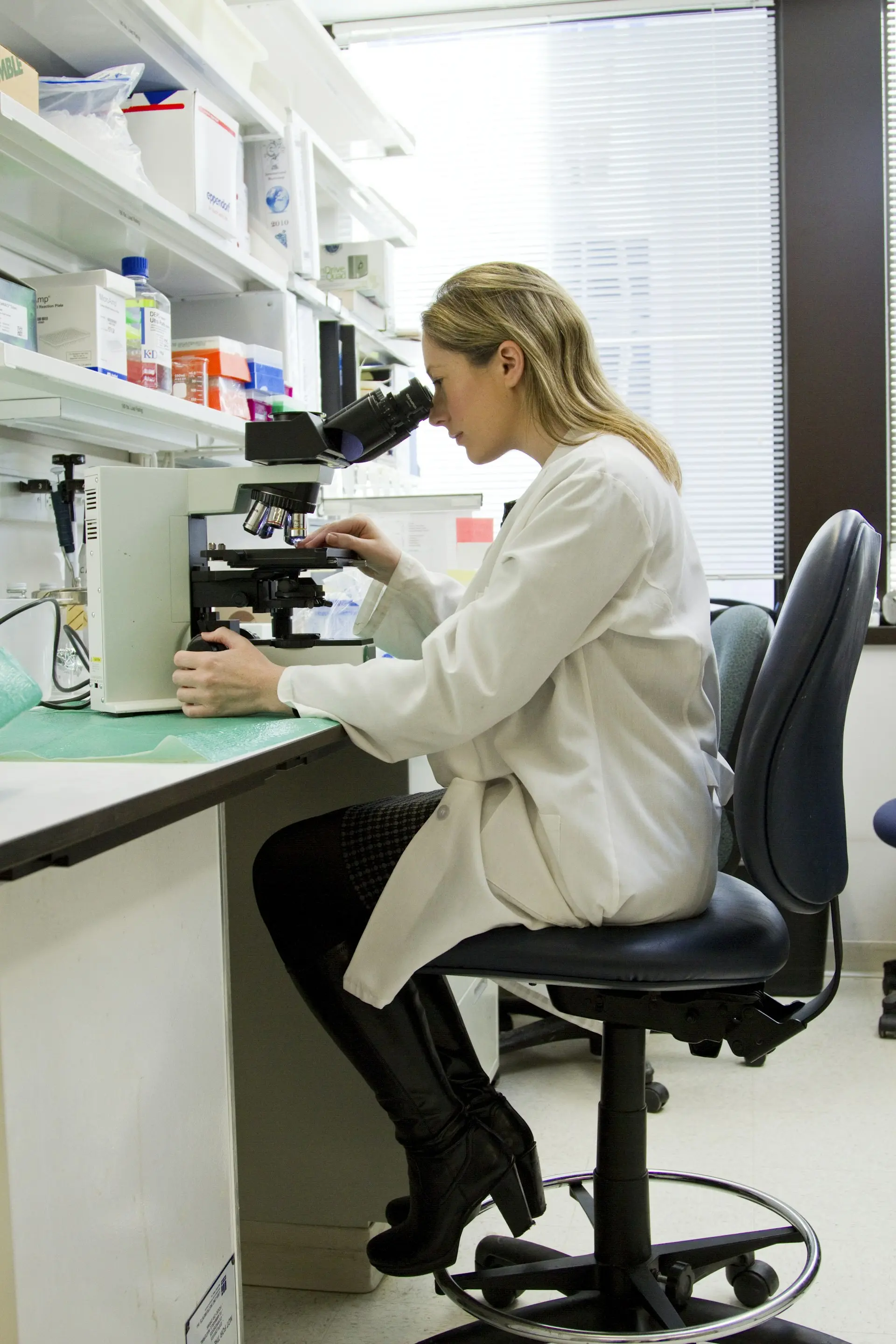 The Biology of Aging: Why We Grow Old and How Science Is Fighting It