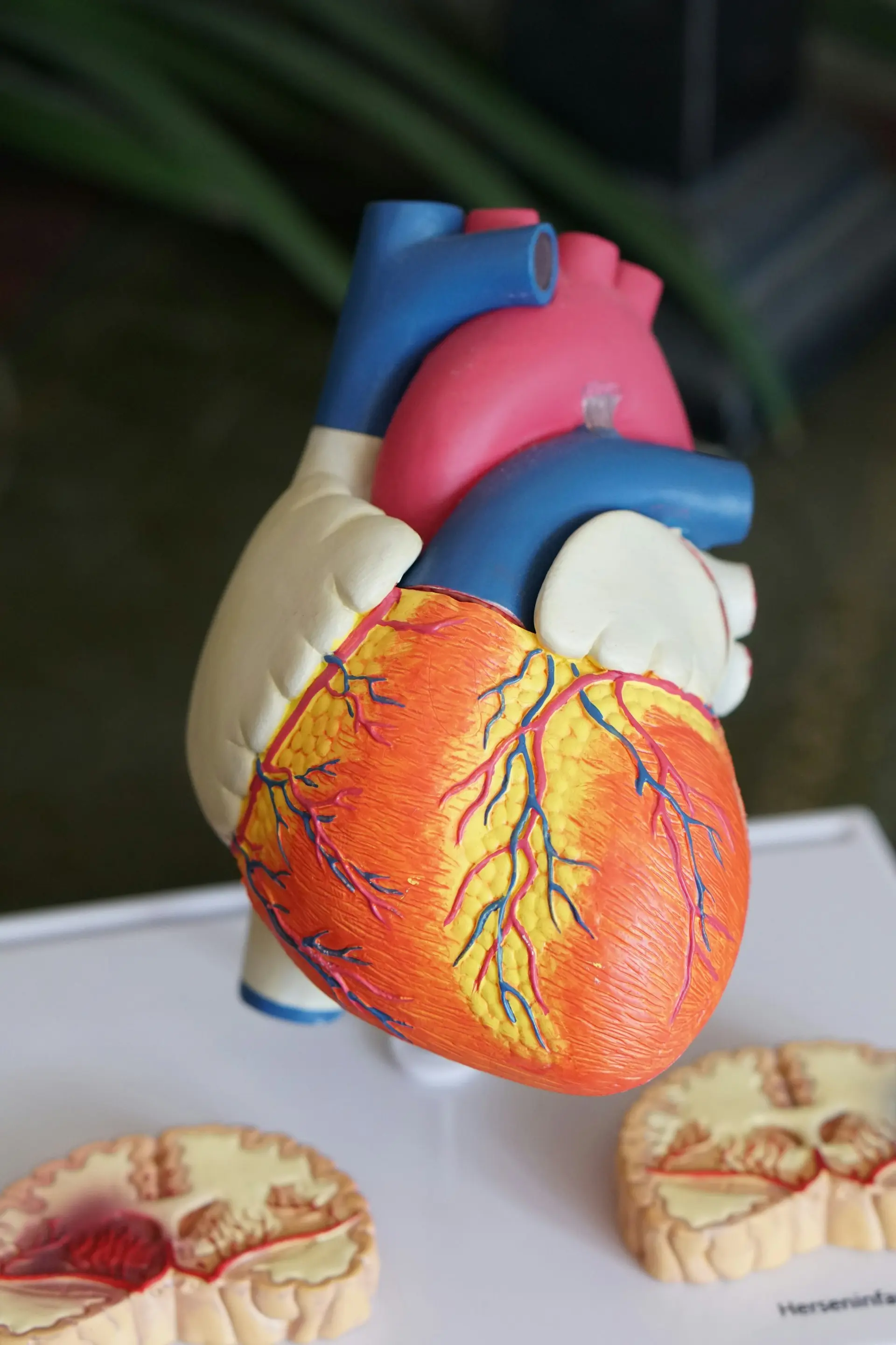 The Chemistry of Life: How Biochemistry Explains the Human Body
