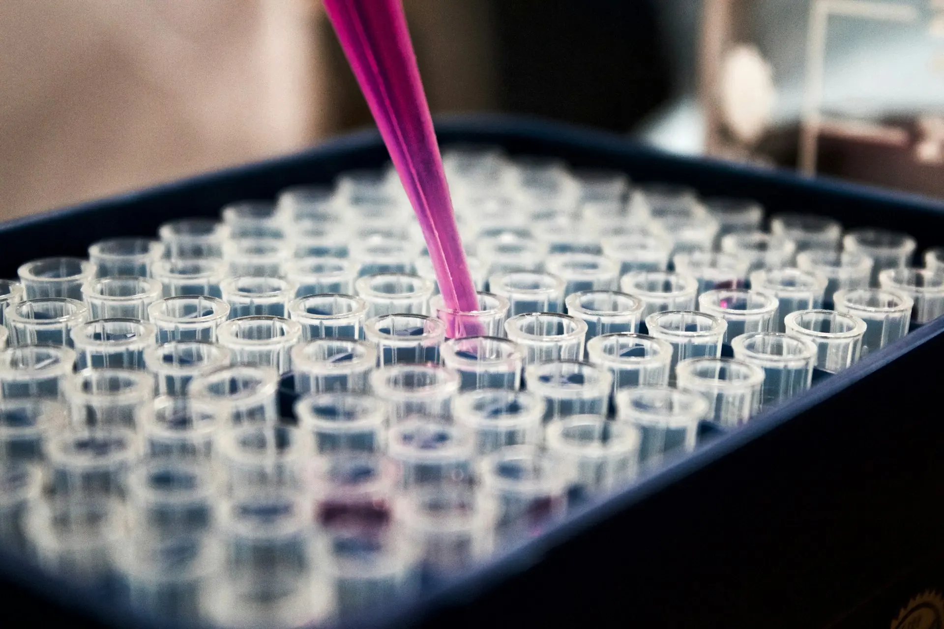 The Chemistry of Life: How Biochemistry Explains the Human Body