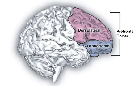 The Psychology of Procrastination: Why We Put Things Off and How to Stop
